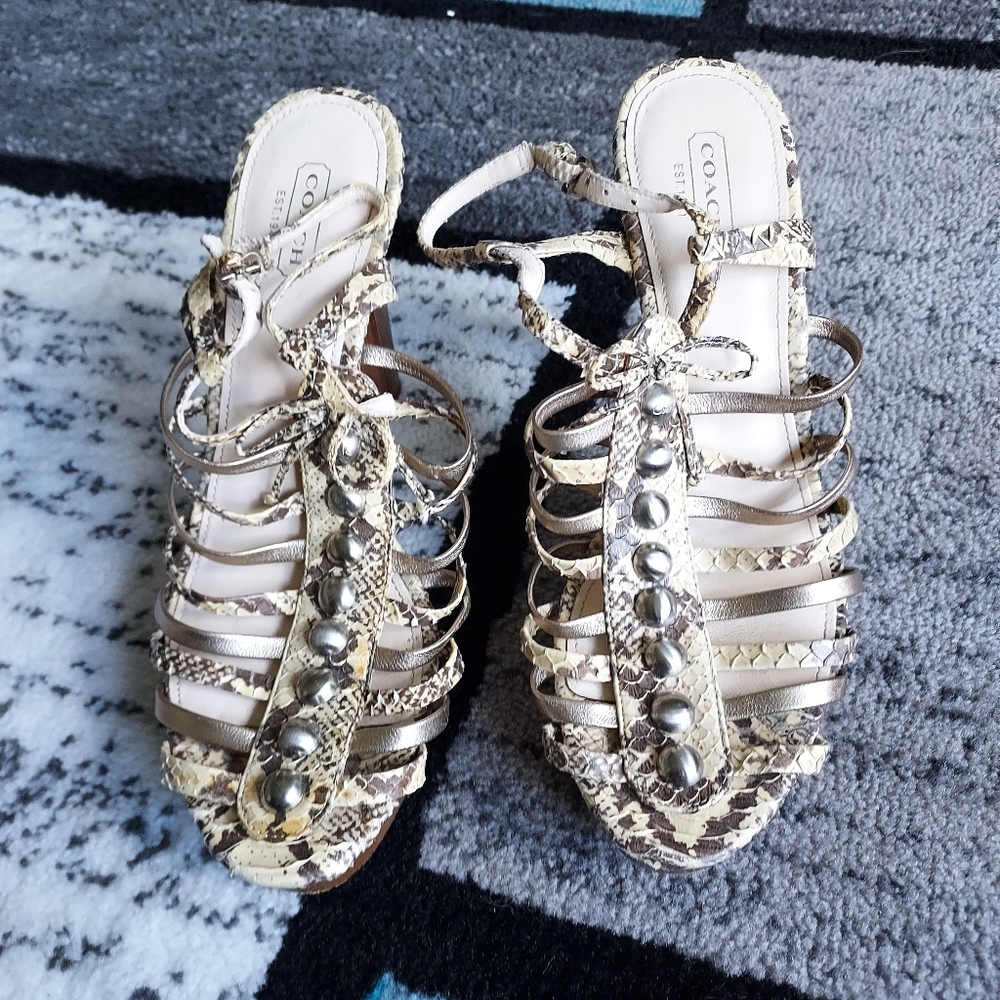 Coach shoes